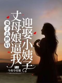 陈正豪袁玲雅小说抖音热文《妻子去世后，丈母娘逼我迎娶小姨子》完结版