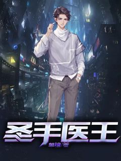 爆款小说由作者单独所创作的圣手医王在线阅读