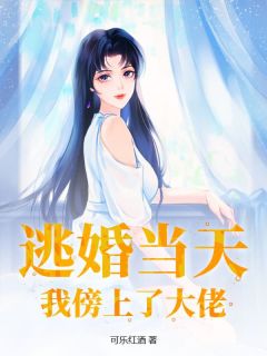 楼小语厉爵《逃婚当天，我傍上了大佬》小说完整版