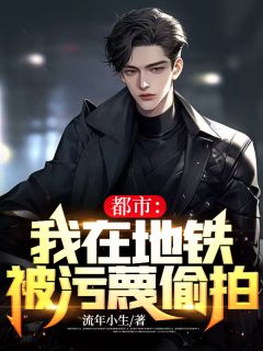 完整版《都市：我在地铁被污蔑偷拍》秦镇陈莹小说免费在线阅读