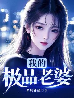 我的极品老婆小说(完整版)-李不凡苏倾城章节阅读