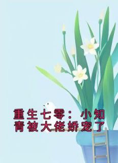 爆款热文苏妙妙姜景川在线阅读-《重生七零：小知青被大佬娇宠了》全章节列表