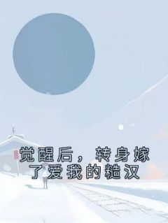 顾忆笙贺岚章小说结局