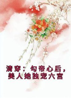 无广告小说清穿：勾帝心后，美人她独宠六宫-何沅淇康熙在线阅读