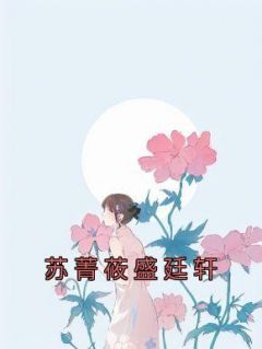 《苏菁莜盛廷轩》苏菁莜盛廷轩全章节完结版在线阅读