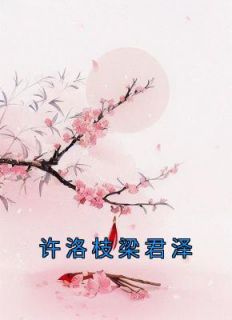 许洛枝梁君泽《许洛枝梁君泽》完结版小说全文免费阅读