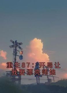 《重生87：我重开钻石王老五副本》（陈兴邦苏静）精彩小说目录阅读