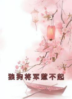 主角是陆寒熙皇后的小说叫什么《狼狗将军惹不起》免费全文阅读