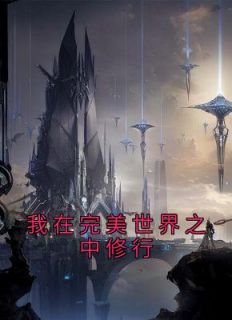 王武穿越到了完美世界小说(完整版)-王武王长云章节阅读