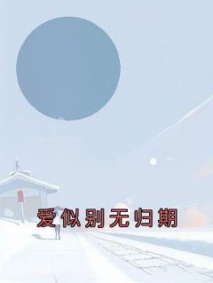 《爱似别无归期》by佚名小说完结版在线阅读