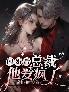 爆款小说由作者辞旧换新所创作的闪婚后，总裁他爱疯了在线阅读