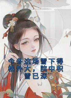 沈妤谢停舟全本小说 《今冬这场雪下得格外大，院中积雪已深》全文免费在线阅读