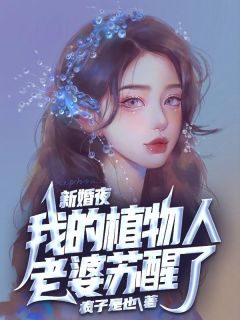 《新婚夜，我的植物人老婆苏醒了！》完整版-萧天策萧鼎在线全文阅读