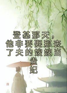 精彩小说登基那天，他非要娶那丧了夫的嫂嫂当贵妃盛鸢傅崇之全章节在线阅读