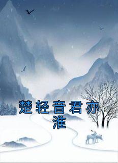 抖音楚轻音君亦淮txt小说阅读