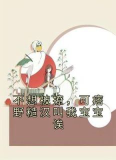 林乔江野小说《不想被撩，可痞野糙汉叫我宝宝诶》全文阅读