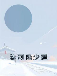 抖音沈珂陆少霆小说叫什么名字