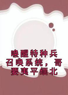 唤醒特种兵召唤系统，哥要夷平缅北大结局阅读 许晨许欣小说在线章节