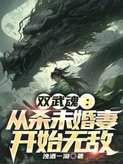 精选好书《双武魂：从杀未婚妻开始无敌》无删减版全文在线