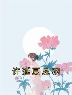 《许延夏思羽》夏思羽许延-小说txt全文阅读