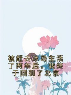 被赶去冰岛生活了两年后，我终于回到了北京司明筝傅逐川免费阅读-被赶去冰岛生活了两年后，我终于回到了北京姜絮怡小说