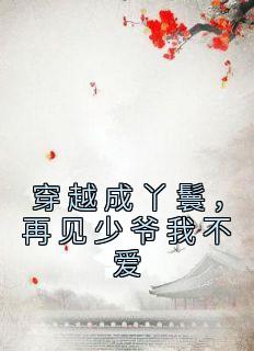 《穿越成丫鬟，再见少爷我不爱》无广告阅读 白鹭孟聘怀免费在线阅读