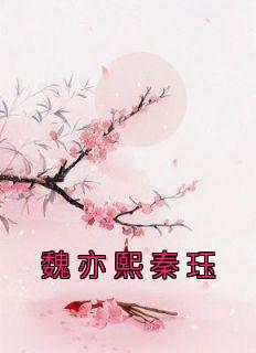 魏亦熙秦珏小说无广告阅读