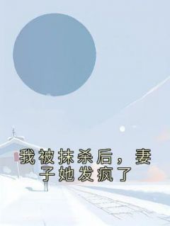 我被抹杀后，妻子她发疯了小说主角是宋时晚闻辰白泽全文完整版阅读