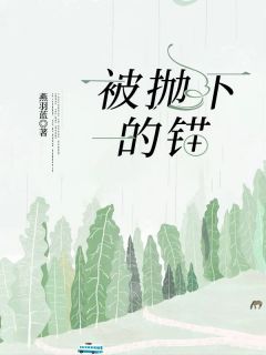 抖音热推小说《被抛下的锚》全文在线阅读