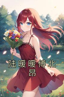 陆暖暖傅北昂小说抖音热文《陆暖暖傅北昂》完结版