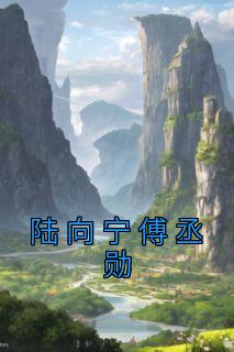 陆向宁傅丞勋小说(完结版)-陆向宁傅丞勋在线阅读