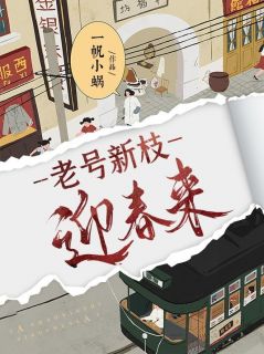 老号新枝迎春来小说(完结版)-莫小雨陈文在线阅读