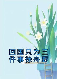 抖音小说周茉徐舟野《周茉徐舟野》无弹窗试读