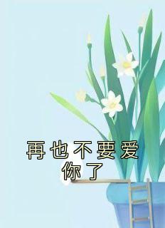 闻笙肖明晨全章节阅读-再也不要爱你了全文分享阅读