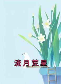 梁草江峥《流月荒星》全文(梁草江峥)章节免费阅读