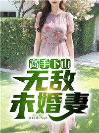 高手下山：无敌未婚妻