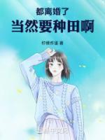 《别来沾边》秦安叶香香-小说txt全文阅读