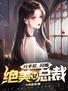 《分手后，闪婚绝美女总裁叶枫杨倩倩》分手后，闪婚绝美女总裁全文免费阅读【完整章节】