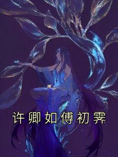 许卿如傅初霁小说全集(许卿如傅初霁)无弹窗广告阅读