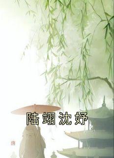 《陆翊沈妤》小说免费阅读 沈妤陆翊大结局完整版