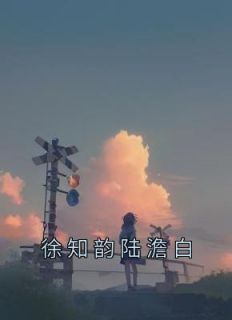 《徐知韵陆澹白》徐知韵陆澹白全章节完结版在线阅读