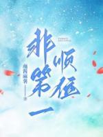 《非第一顺位》顾城衍昭昭-小说未删减阅读