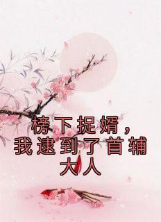 主角是徐清安沈燕安的小说-《榜下捉婿，我逮到了首辅大人》完整章节阅读