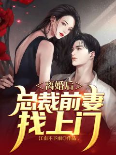 爆款小说《离婚后，总裁前妻找上门》在线阅读-江辰林婉清免费阅读