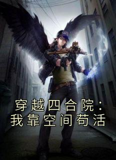 《穿越四合院：我靠空间苟活》完整版-何雨柱何雨水在线全文阅读