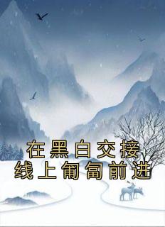 叶骄阳妮妮(原文完整)《在黑白交接线上匍匐前进》无弹窗免费阅读