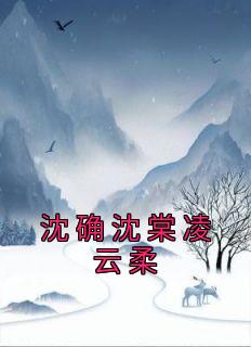 【沈确沈棠凌云柔】主角(凌云柔沈确沈棠)在线阅读