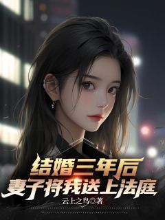 陆凡苏月灵全本小说 《结婚三年后，妻子将我告上法庭》全文免费在线阅读