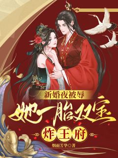 新婚夜被辱，她一胎双宝炸王府(慕云澜楚寒霄)全文章节在线阅读