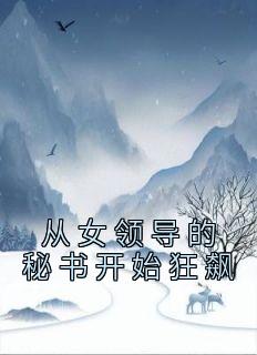 从女领导的秘书开始狂飙小说(完本)-陆天浩秦慕雪无错版阅读